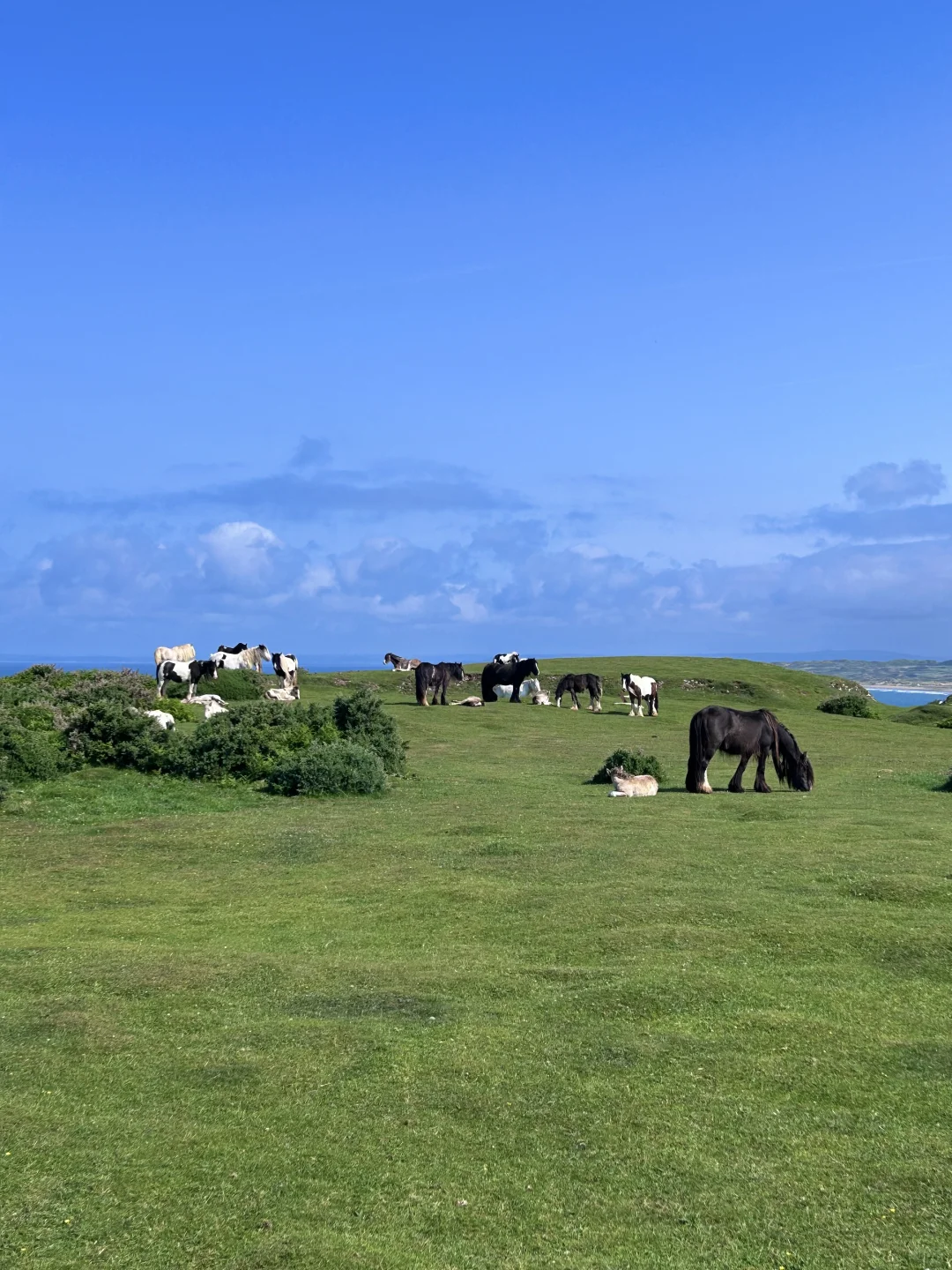 📍威尔士最美小众海滩之一 | Rhossili Bay
