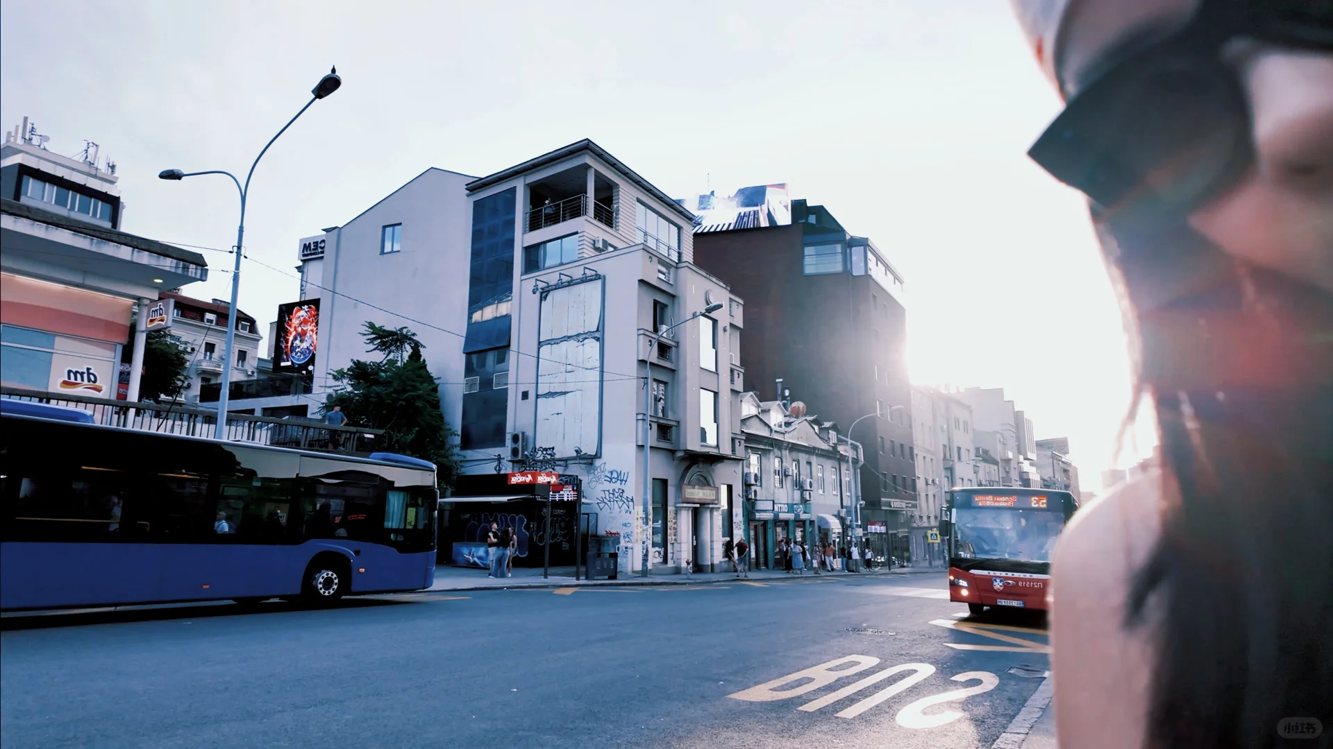 📍塞尔维亚 免签说走就走
