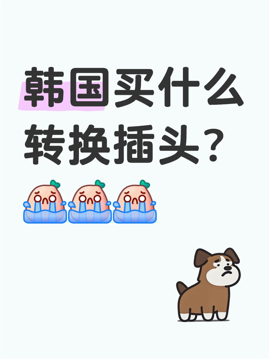 🇰🇷韩国旅行插座干货！必备欧标转换器