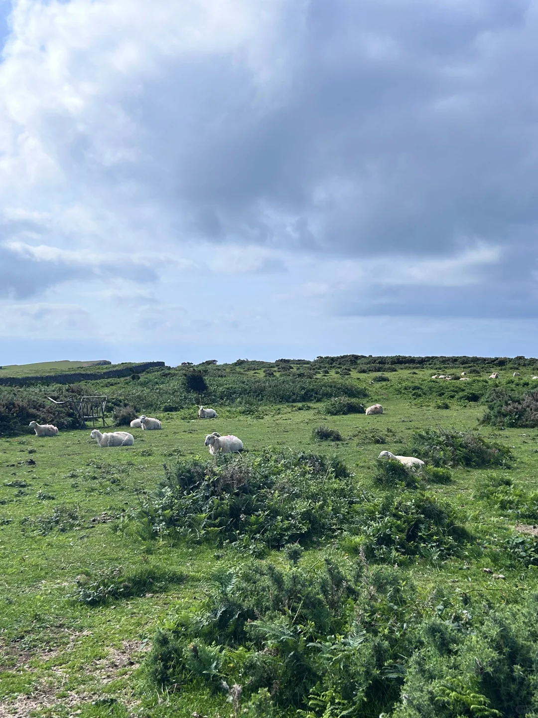 📍威尔士最美小众海滩之一 | Rhossili Bay