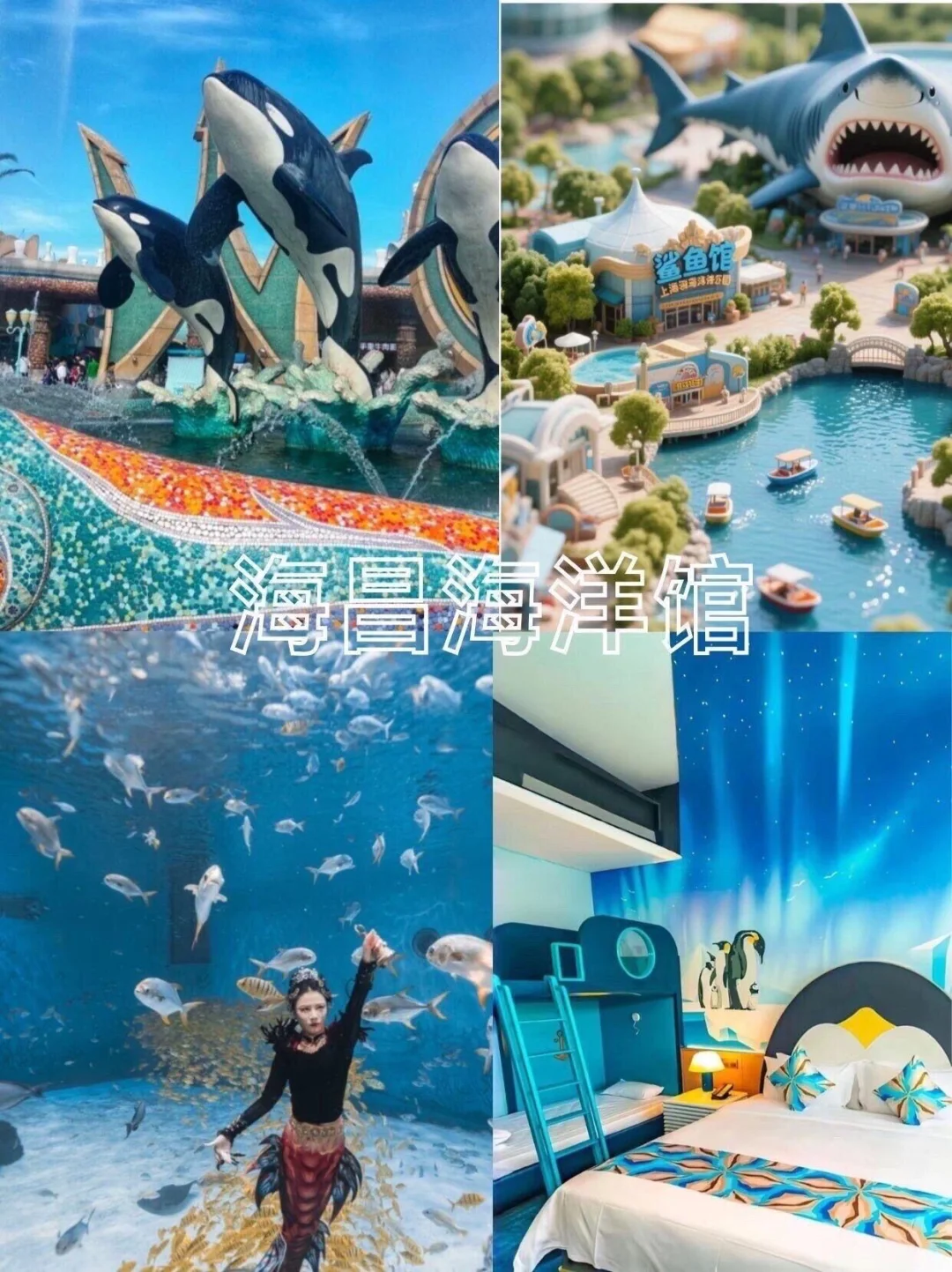 上海✅私人订制一家一团人均1000+