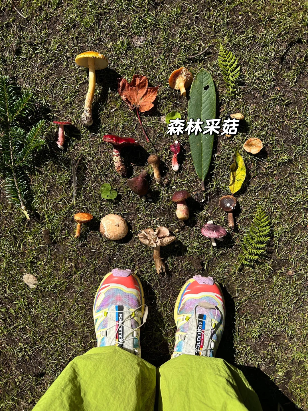 和闺蜜跟团去了香格里拉，这人生酒店太震撼