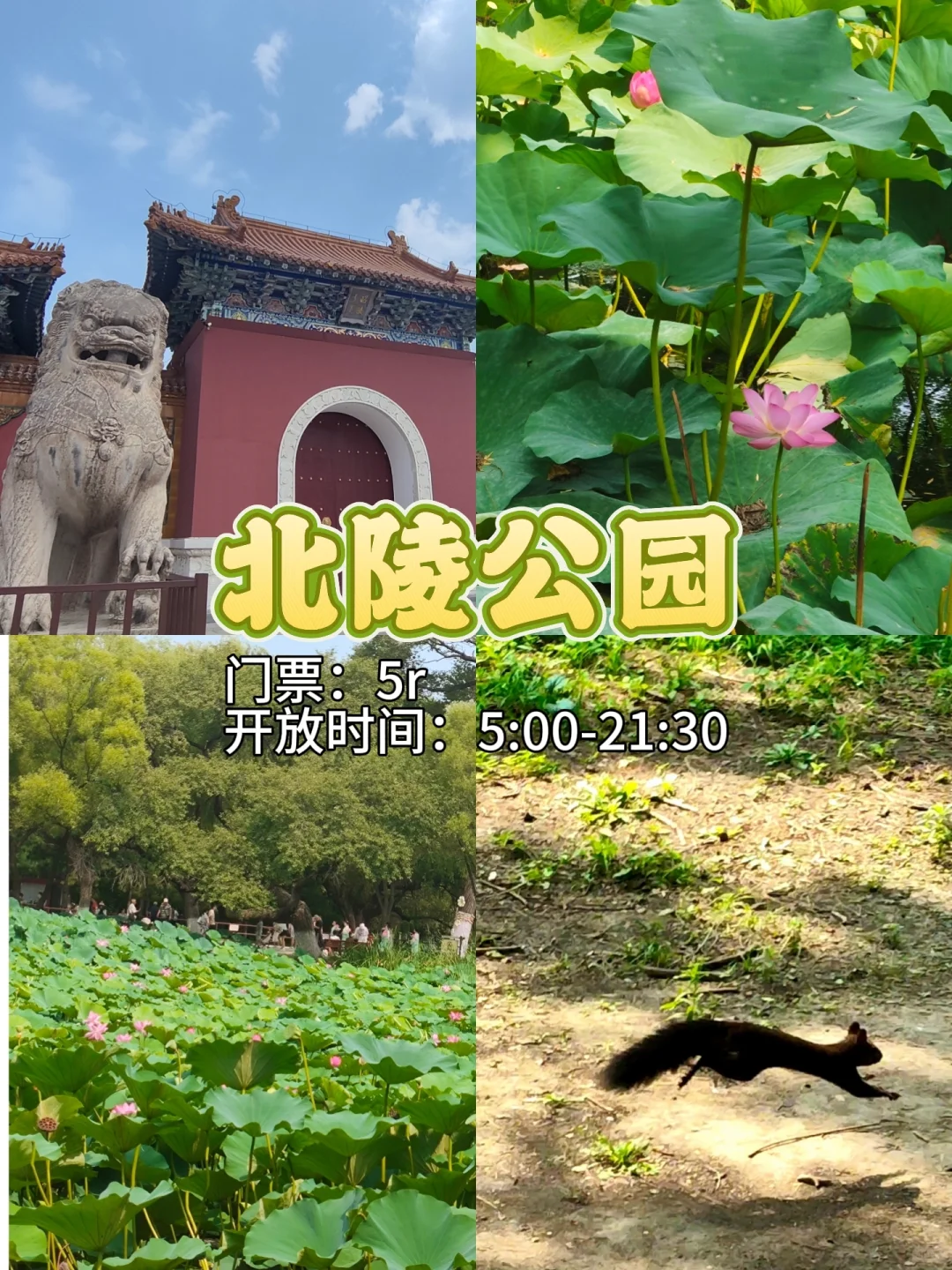 沈阳 九大必去景点 超详细攻略来啦！