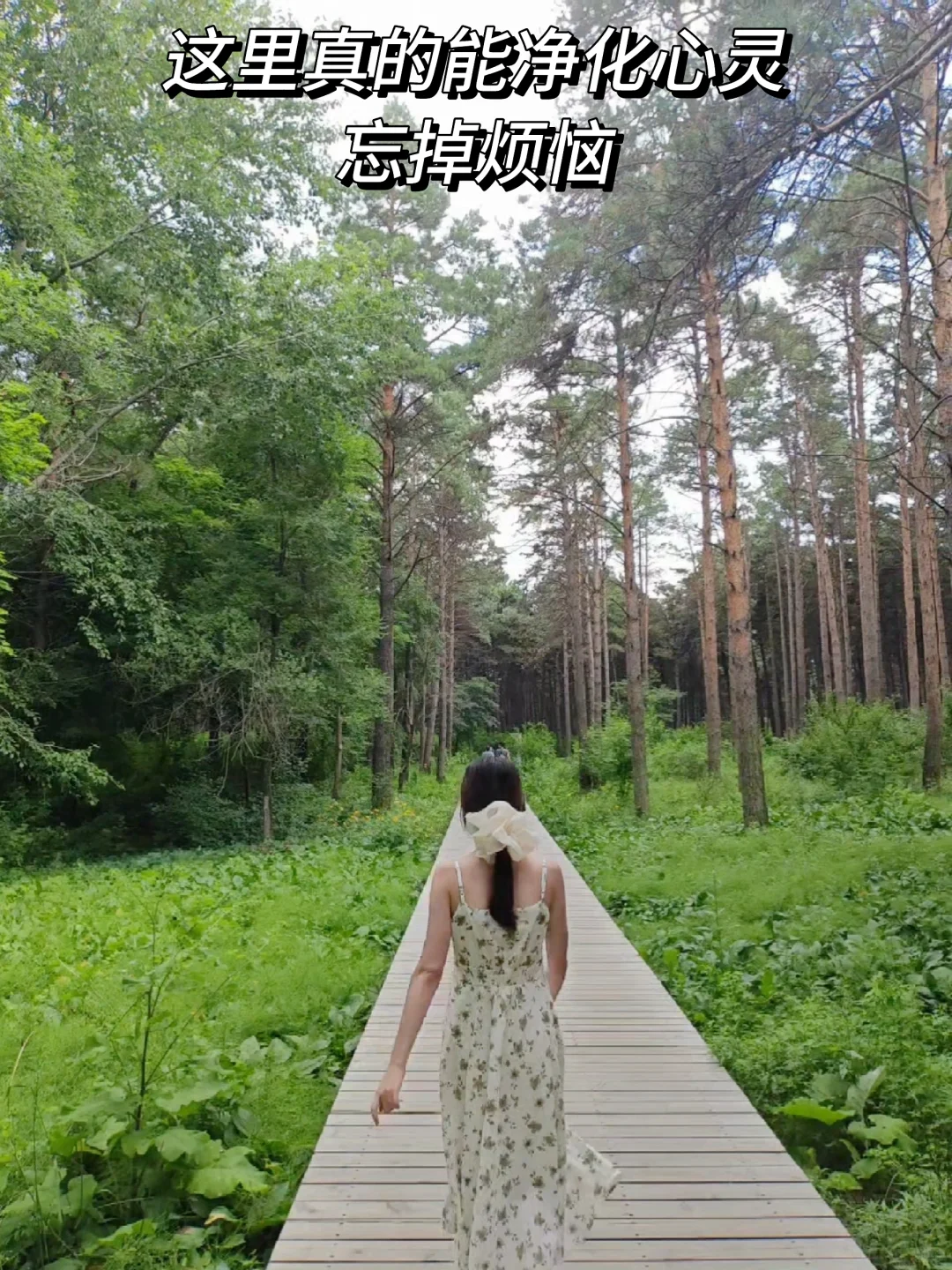穷鬼两千预算试图领略东北4城的大好河山
