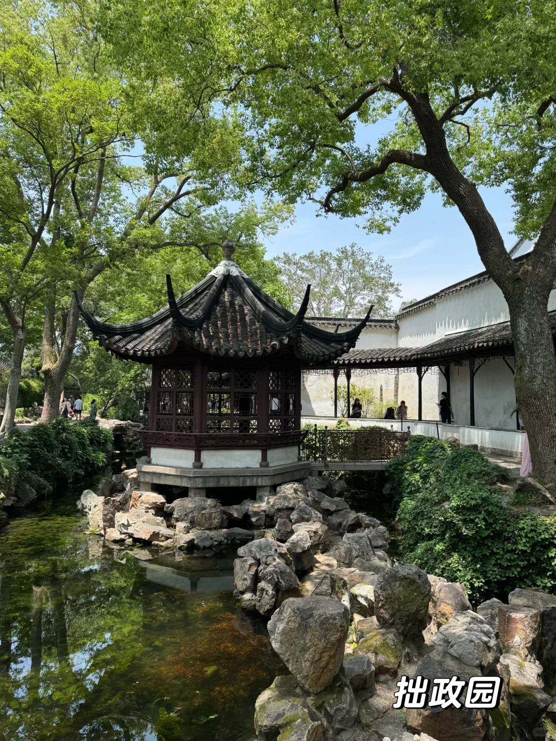 南京苏州也太好玩啦|附四天三晚保姆级攻略