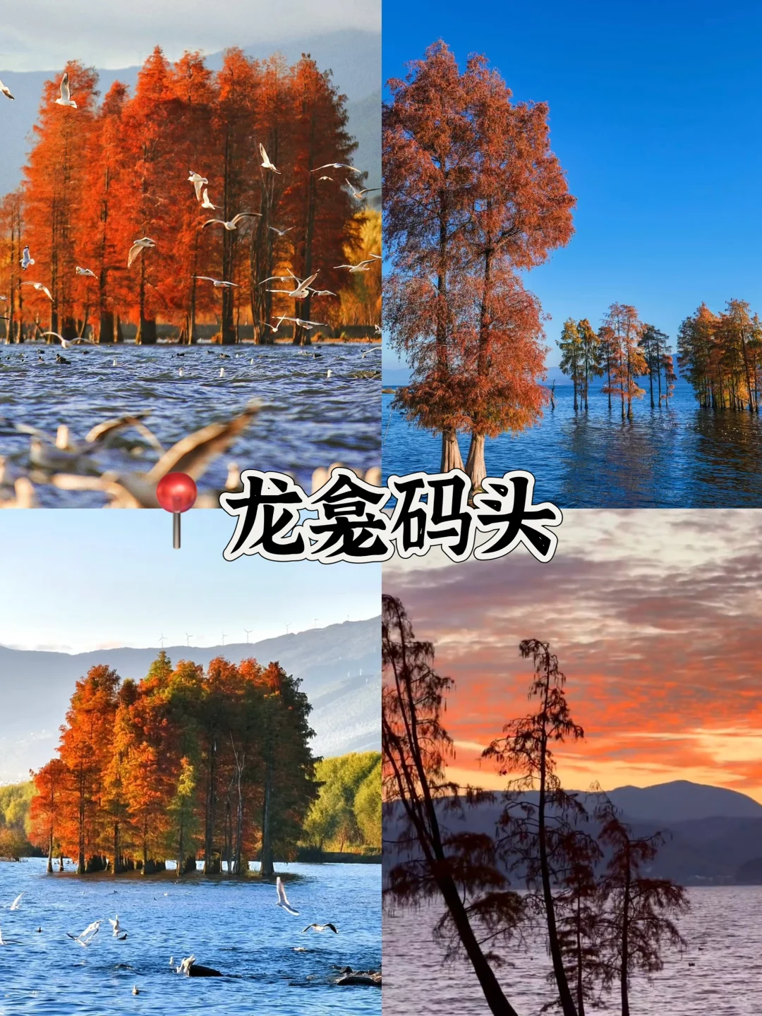 大理🌈必打卡的10个景点游玩攻略🔥