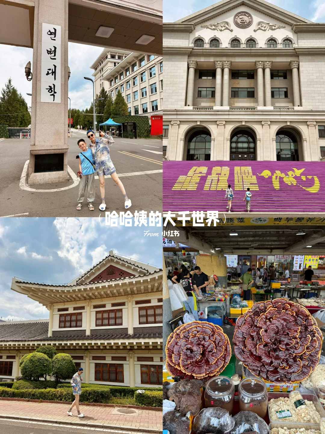 长春.长白山.延吉🏔️ 一路向北深度游攻略🍀