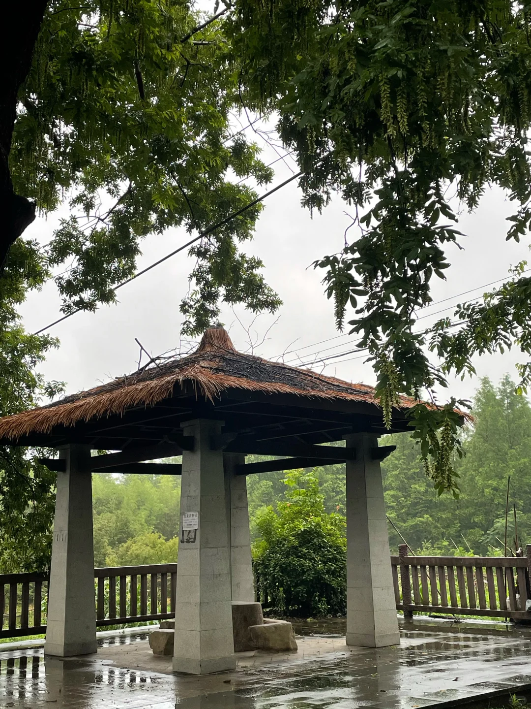 莫干山2天1夜｜0爬山+小众免费景点