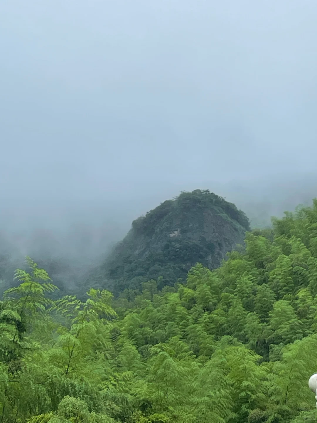 莫干山2天1夜｜0爬山+小众免费景点