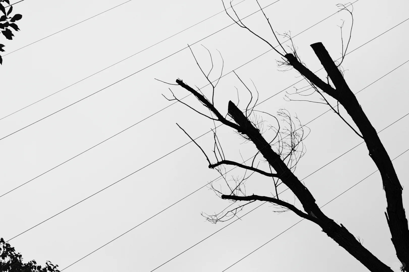 珍珠泉景区是不是没啥好玩的