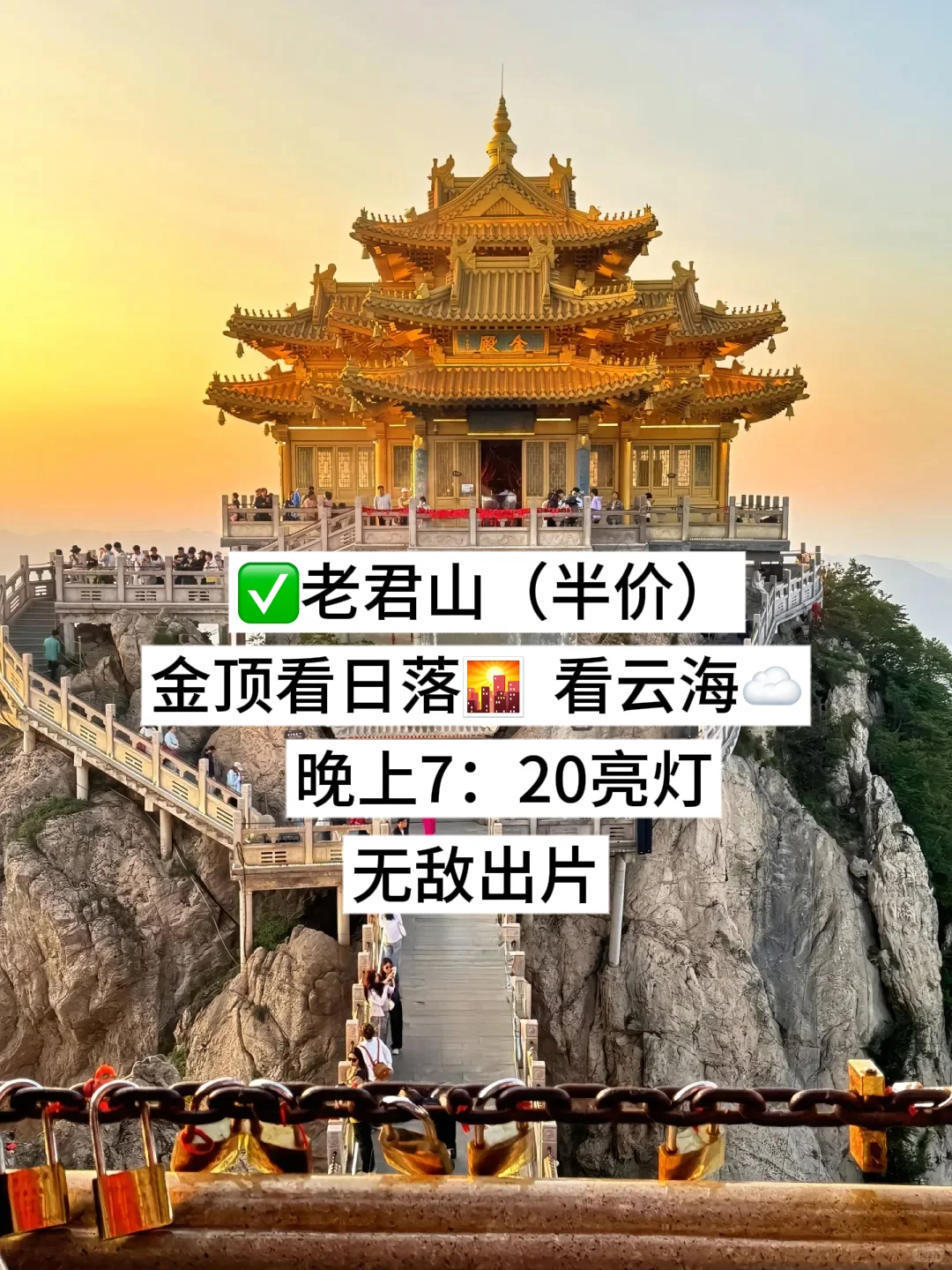 洛阳！你对有教师资格证的人也太友好了吧！