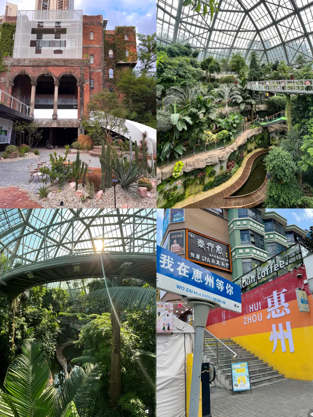 惠州周末游!本地人游玩逛吃版!打卡走起~