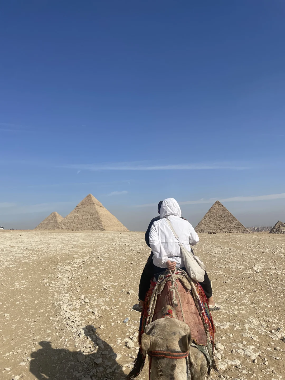吐血推荐我去过最便宜的国家—埃及🇪🇬