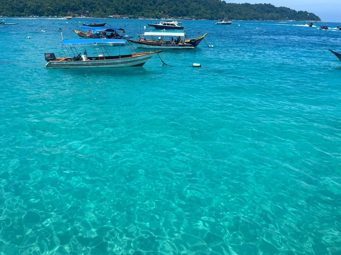 🇲🇾我的第一次solo trip之 停泊岛