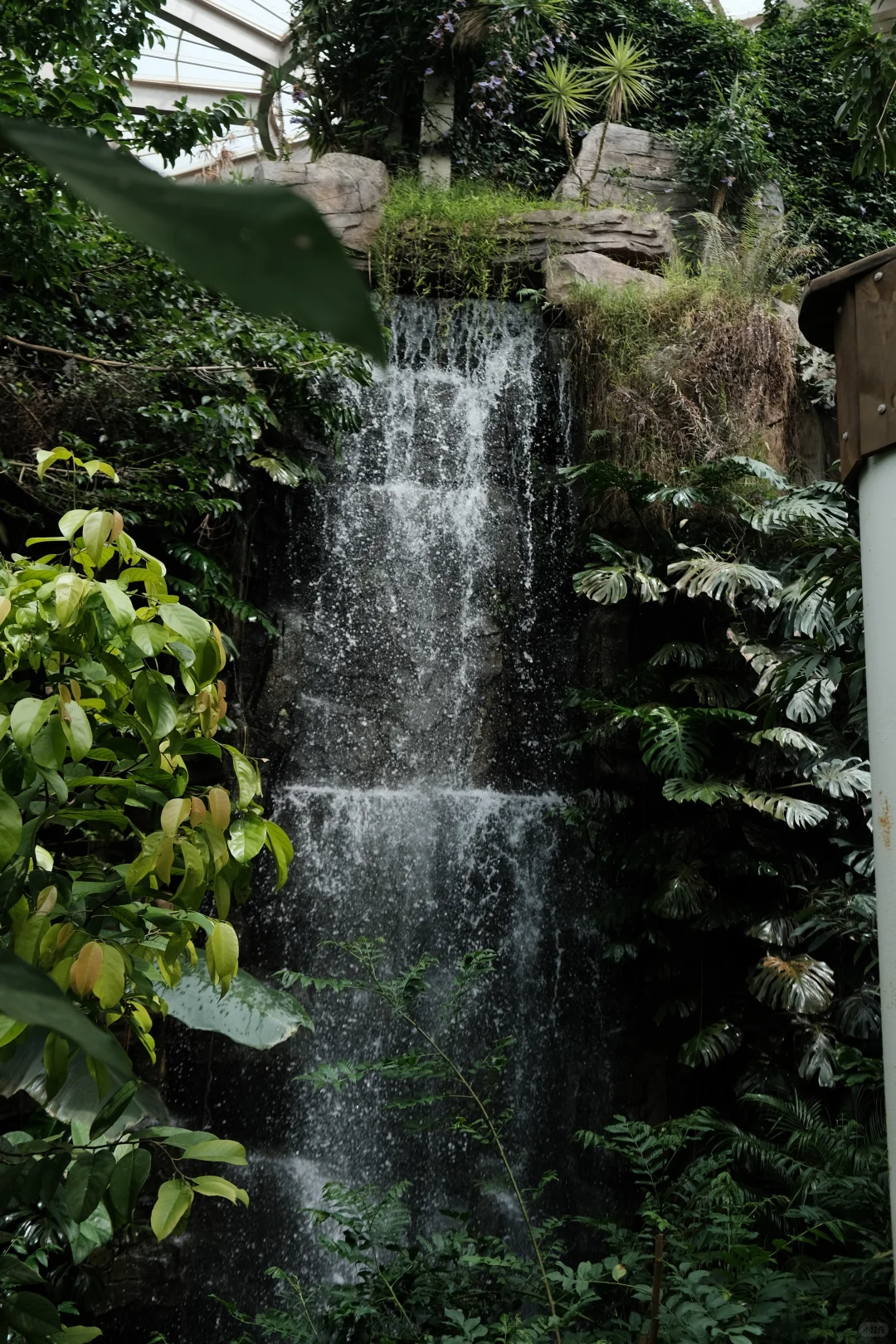 🌳昆明植物园扶荔宫 |昆明旅游必来景点❗