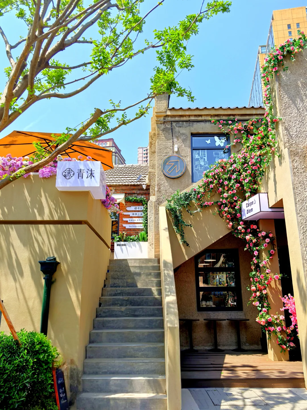 大连人熬夜整理的大连攻略‼️