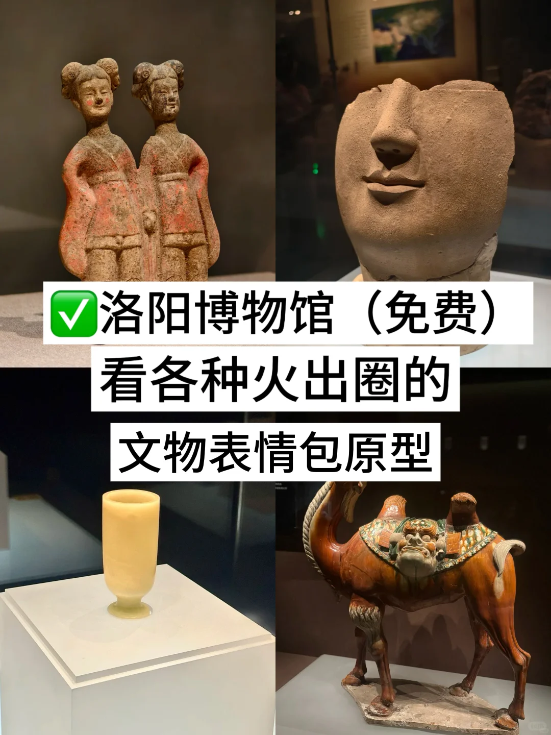 洛阳！你对有教师资格证的人也太友好了吧！