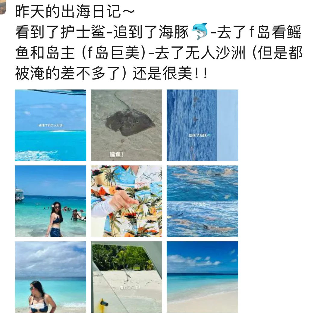 去过的8个国家的辣评