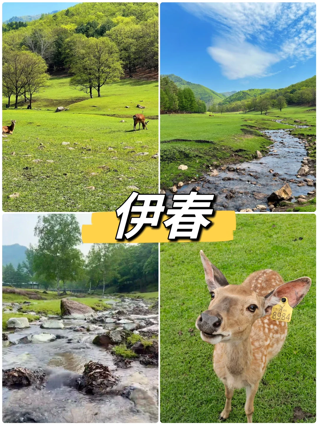 夏天避暑必去胜地！奔赴22 ℃的夏天