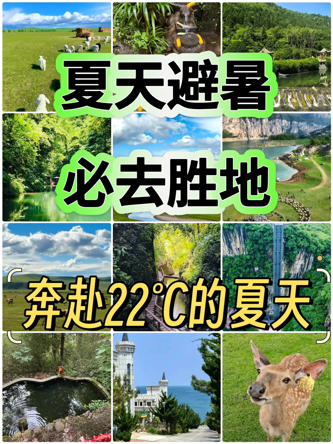 夏天避暑必去胜地！奔赴22 ℃的夏天