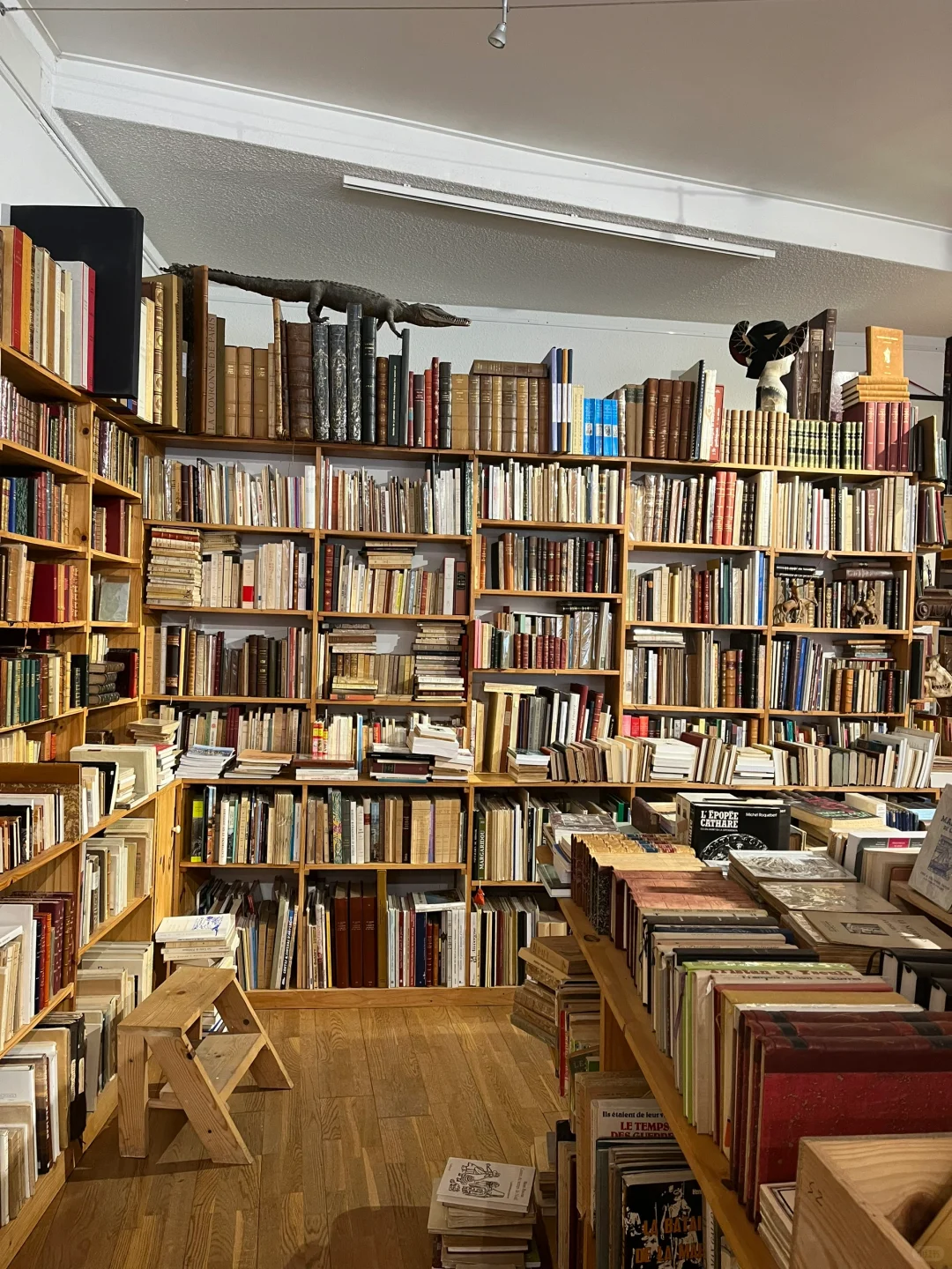 🇫🇷法国温泉小镇维希Vichy漫步指南