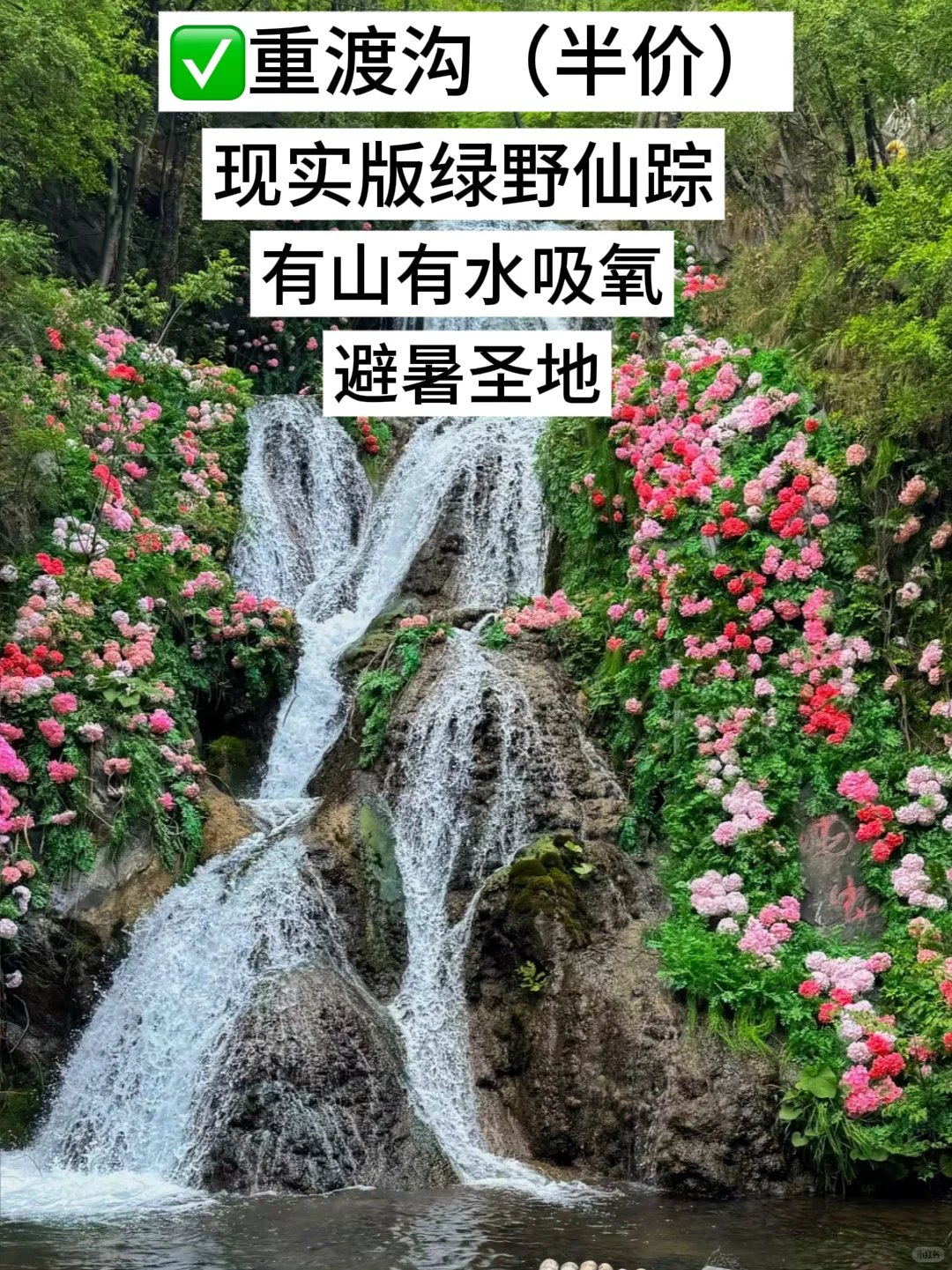 洛阳！你对有教师资格证的人也太友好了吧！