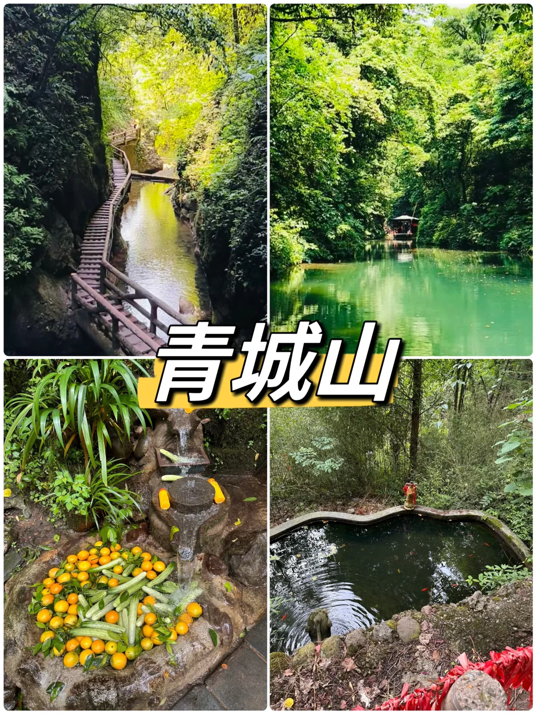 夏天避暑必去胜地！奔赴22 ℃的夏天