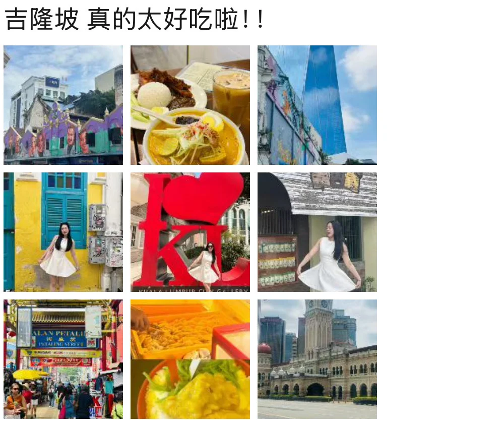 去过的8个国家的辣评