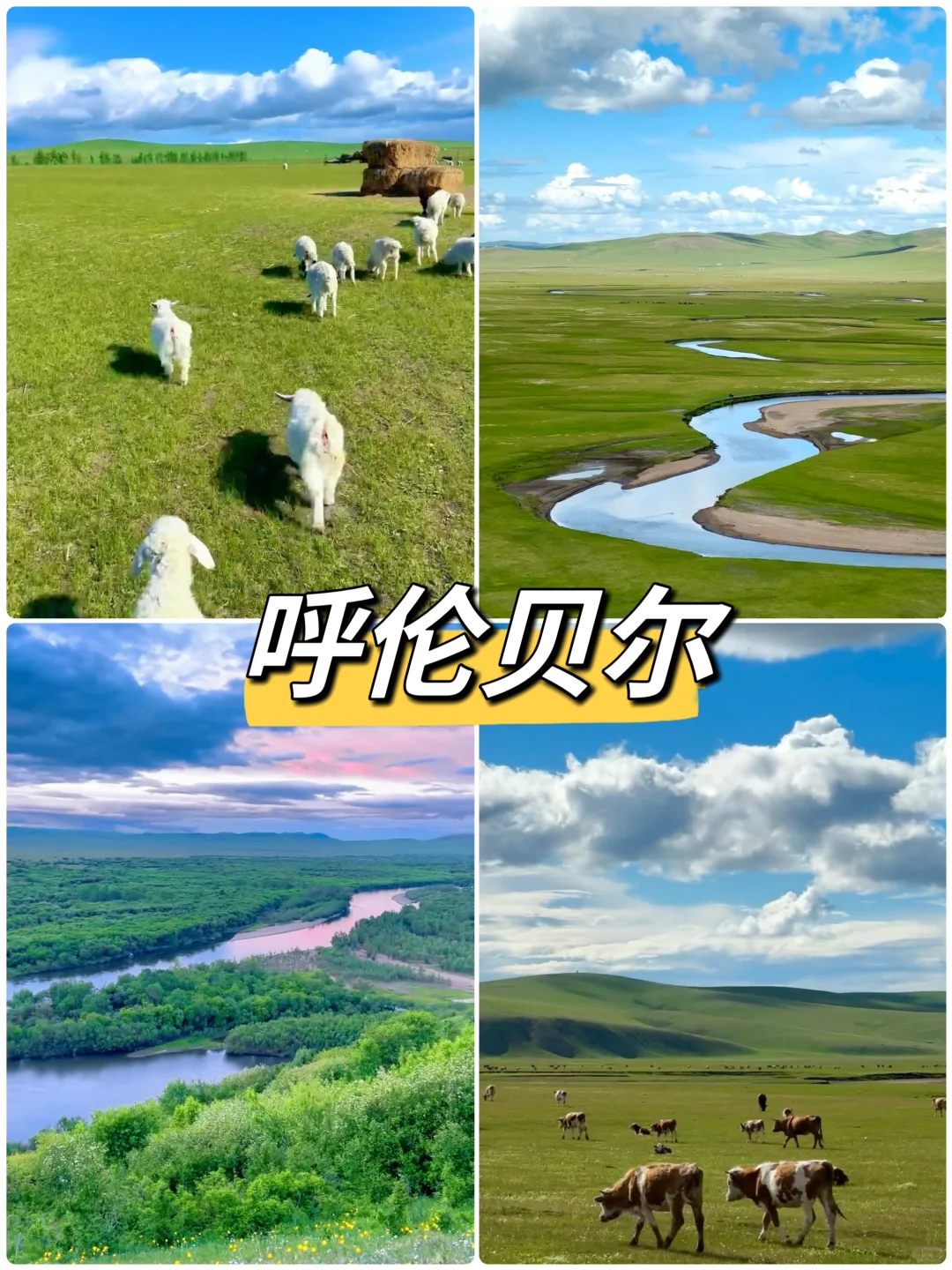 夏天避暑必去胜地！奔赴22 ℃的夏天