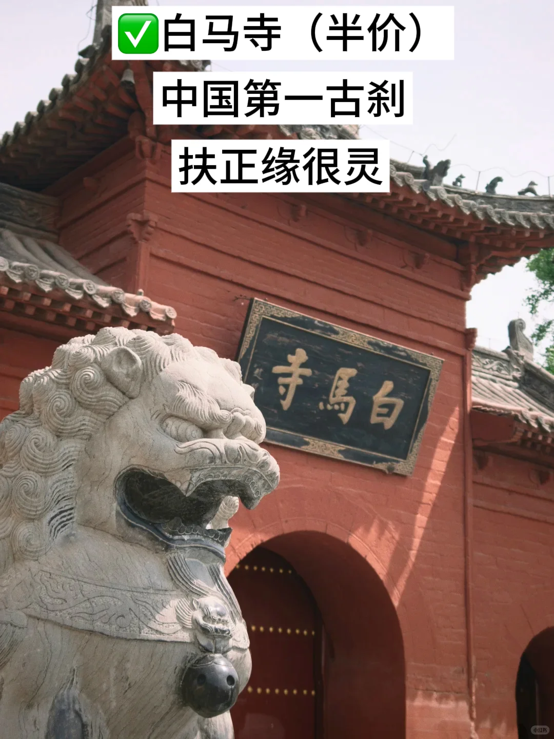 洛阳！你对有教师资格证的人也太友好了吧！