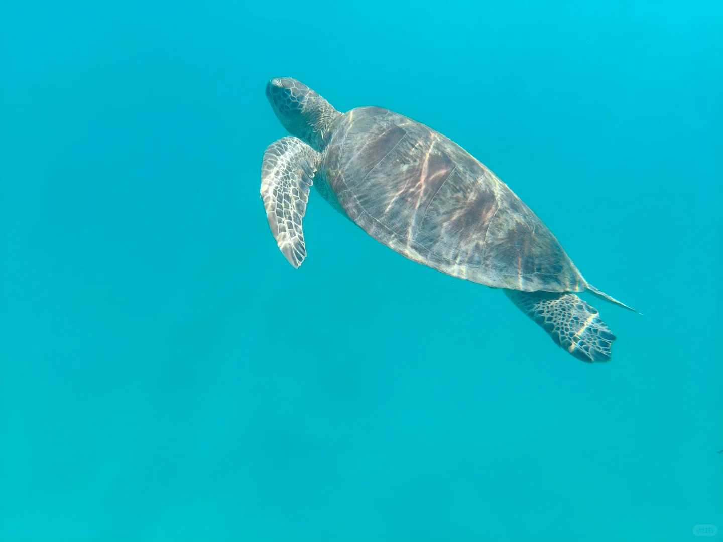 🇲🇾我的第一次solo trip之 停泊岛