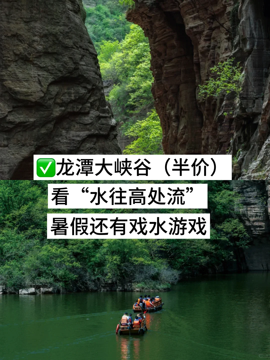 洛阳！你对有教师资格证的人也太友好了吧！