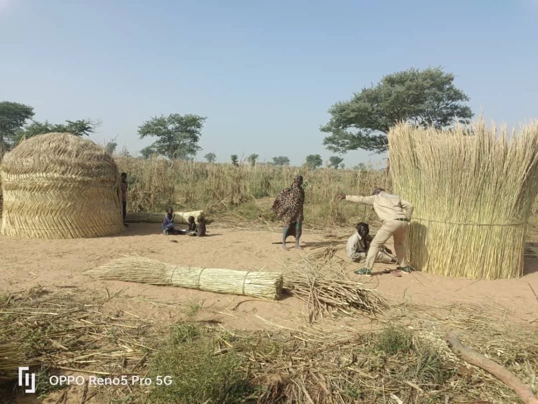 想看看国外的风景照
