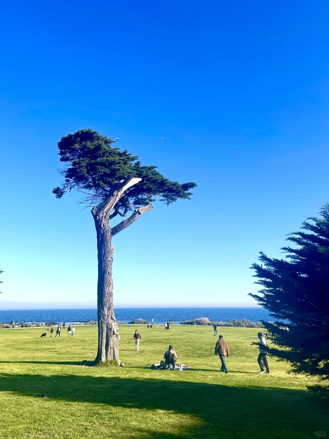 🇦🇺墨尔本|Williamstown 的藍色好迷人👒