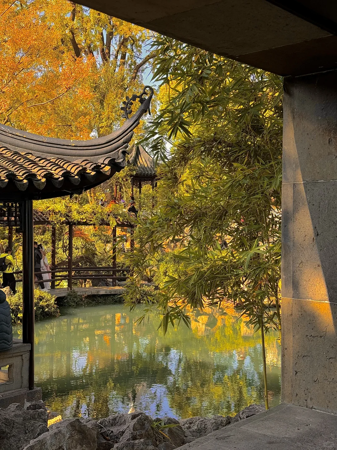 可惜你不来苏州❗️不知姑苏得秋天有多震撼