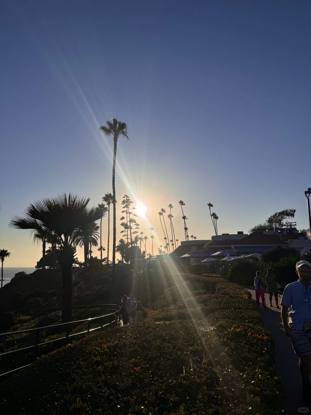 🌊洛杉矶拉古纳海滩|闯入现实版“浪漫结界”