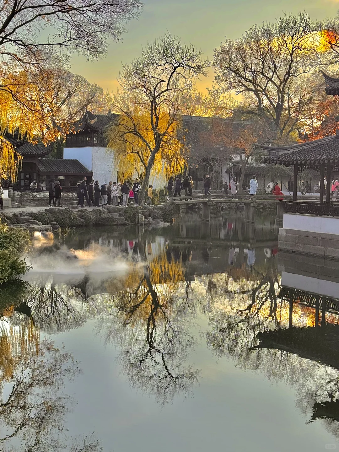 可惜你不来苏州❗️不知姑苏得秋天有多震撼