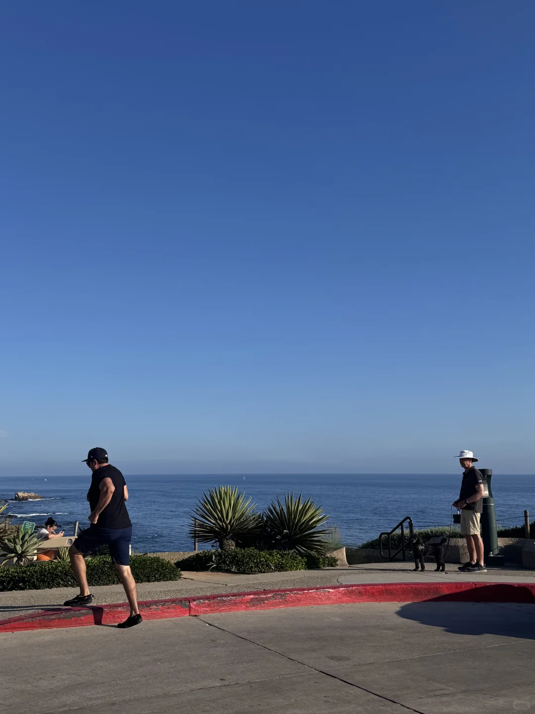 🌊洛杉矶拉古纳海滩|闯入现实版“浪漫结界”