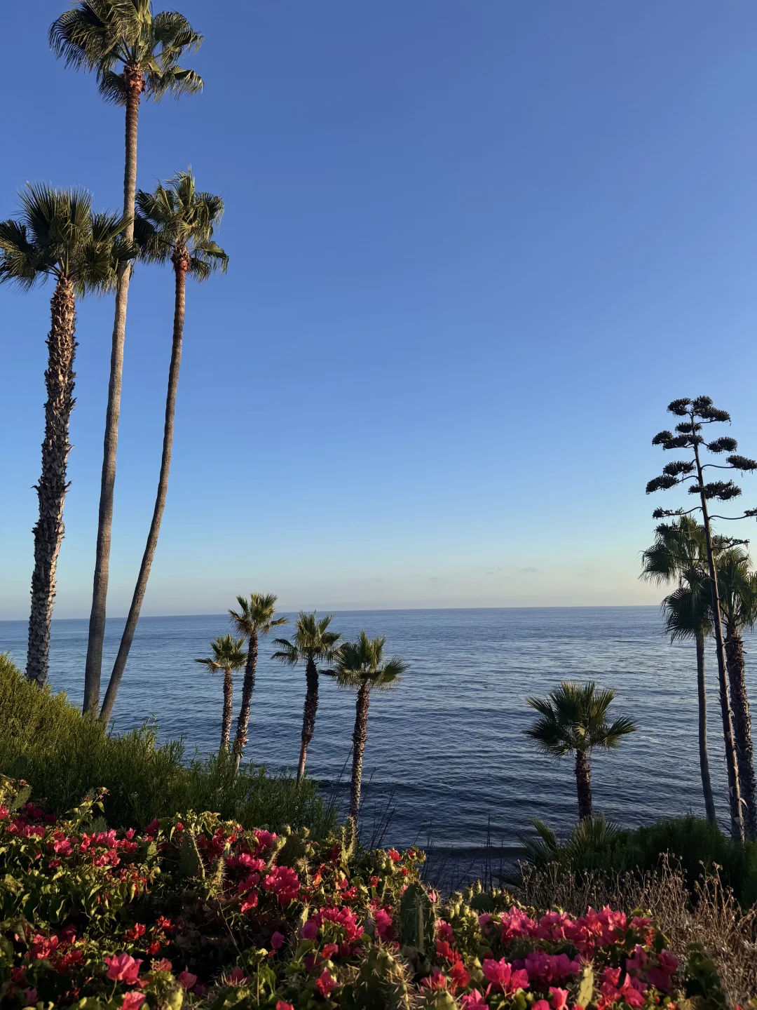 🌊洛杉矶拉古纳海滩|闯入现实版“浪漫结界”