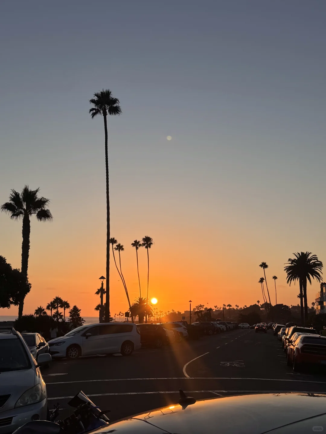 🌊洛杉矶拉古纳海滩|闯入现实版“浪漫结界”