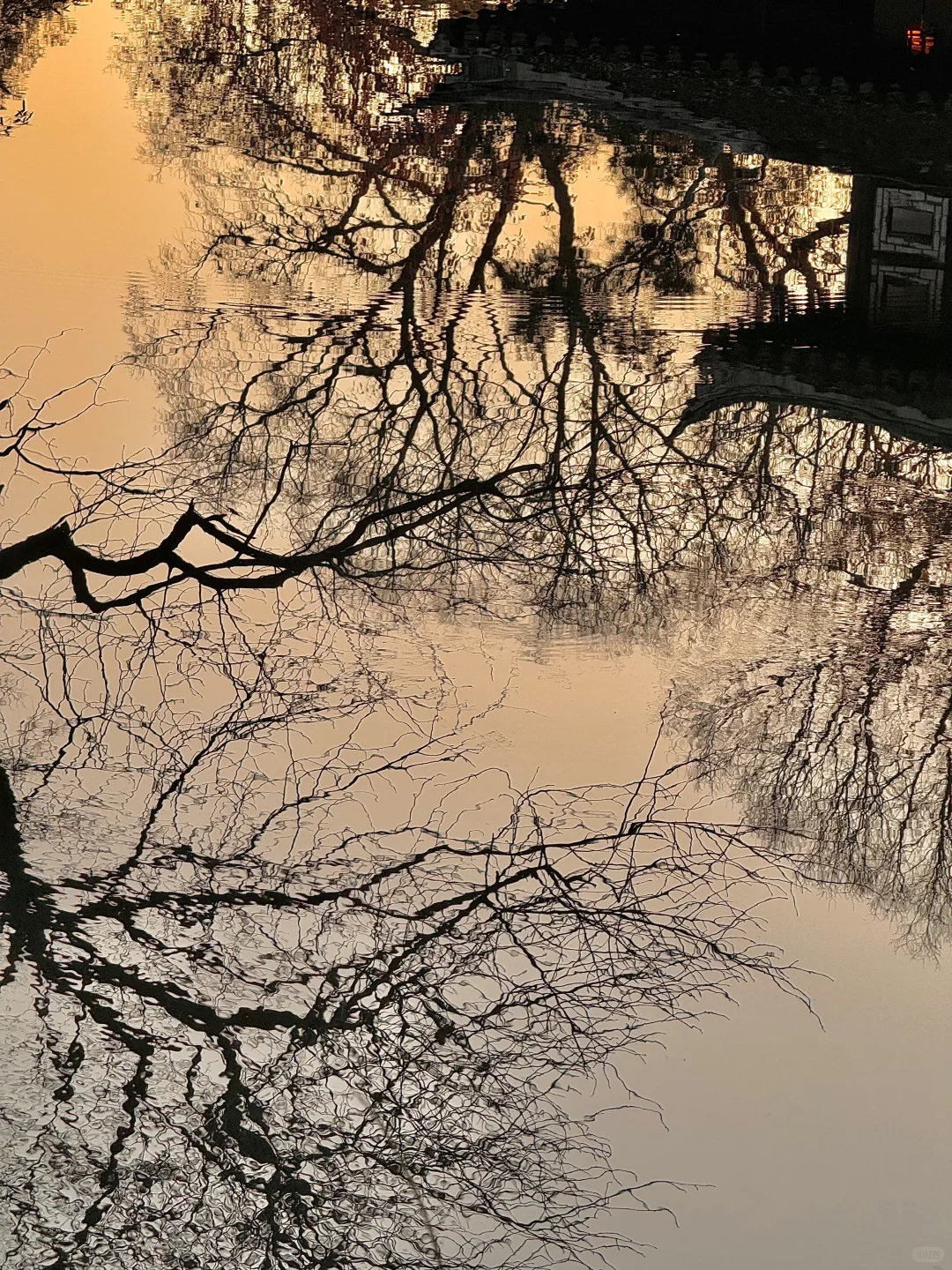 可惜你不来苏州❗️不知姑苏得秋天有多震撼