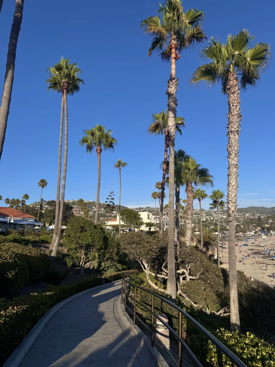 🌊洛杉矶拉古纳海滩|闯入现实版“浪漫结界”