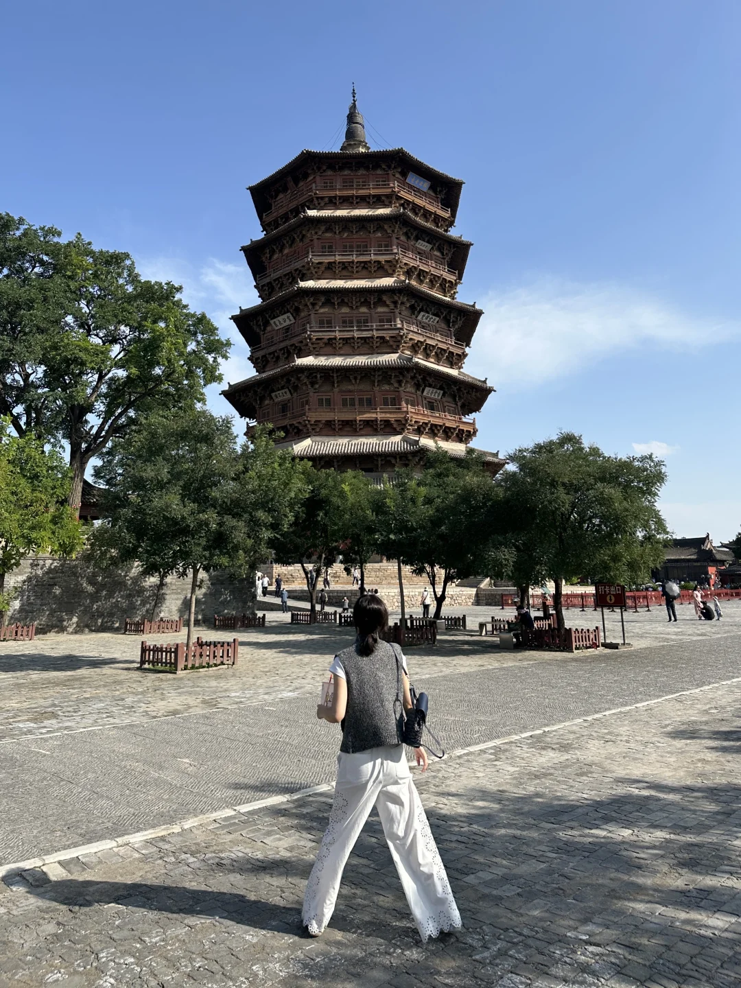 梦游在大同🪭