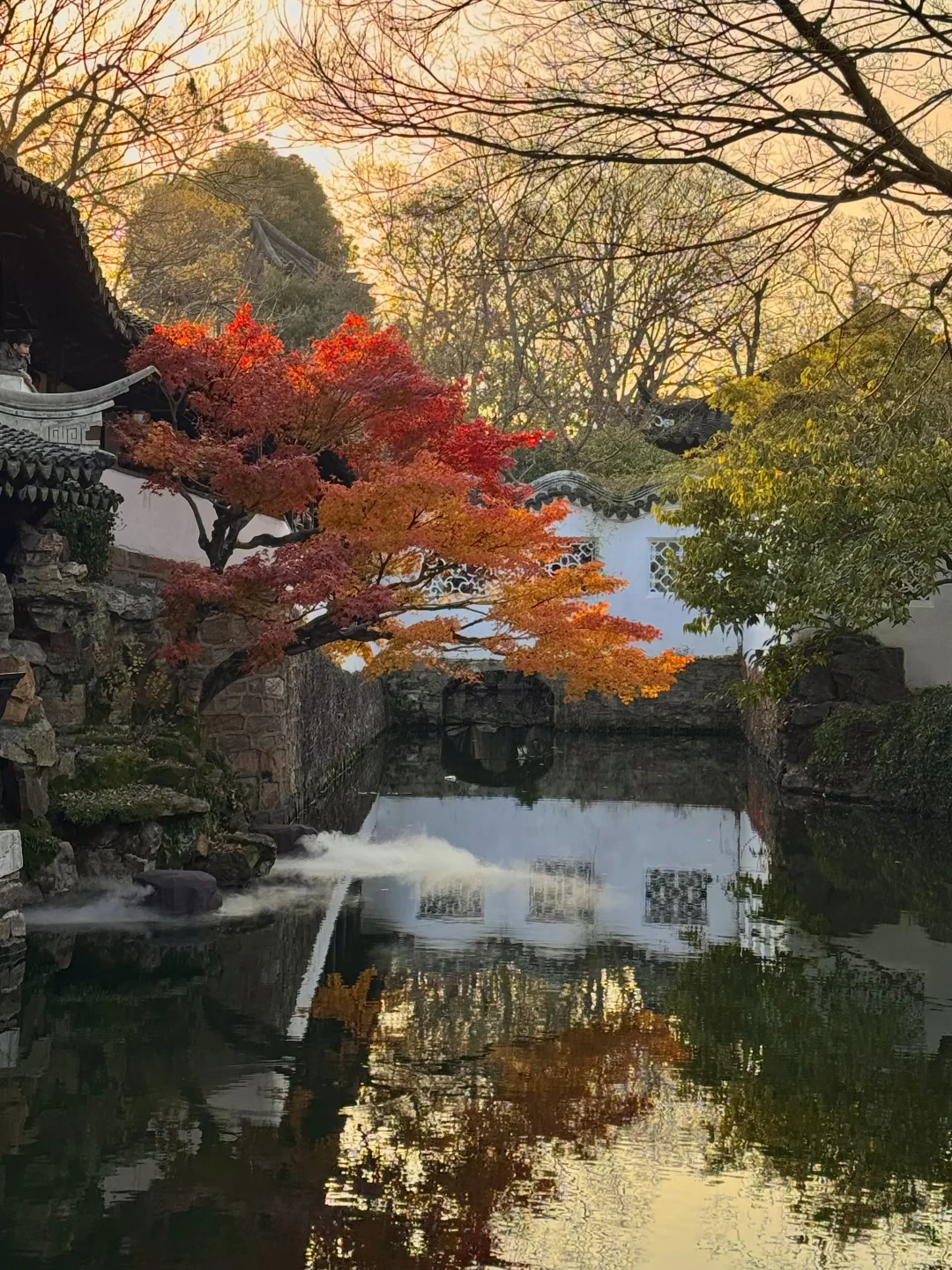 可惜你不来苏州❗️不知姑苏得秋天有多震撼