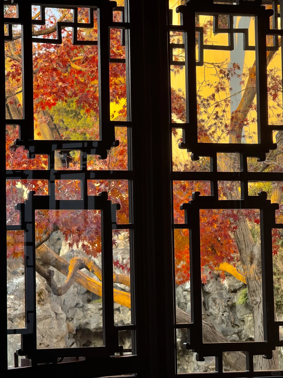 可惜你不来苏州❗️不知姑苏得秋天有多震撼