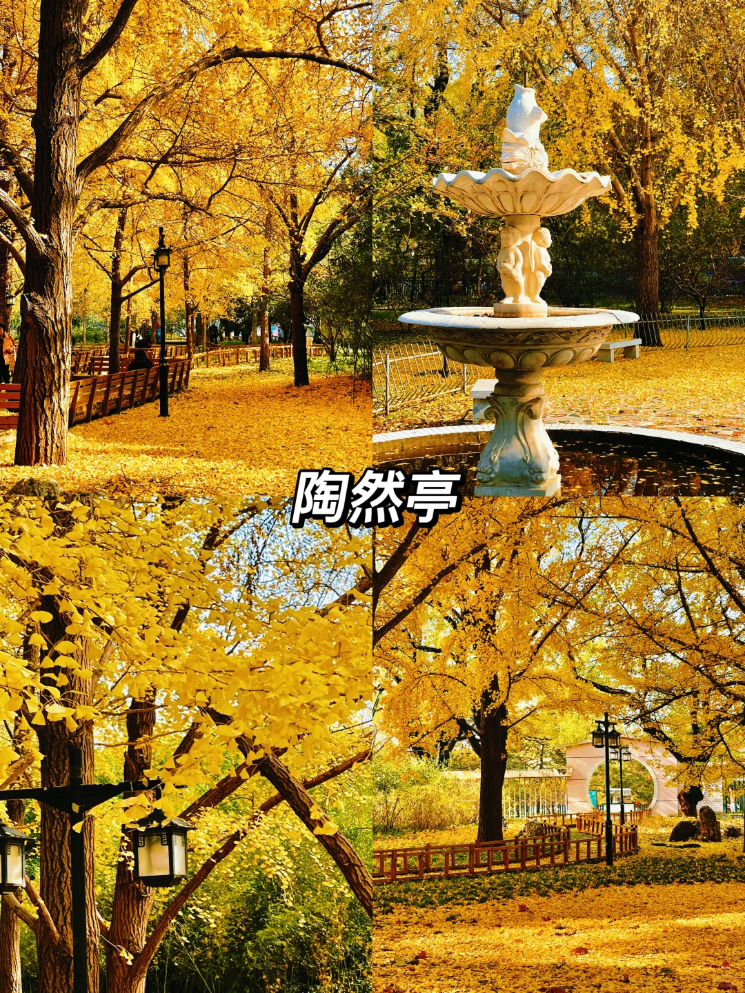 北京秋天一定要去的8️⃣个地方！