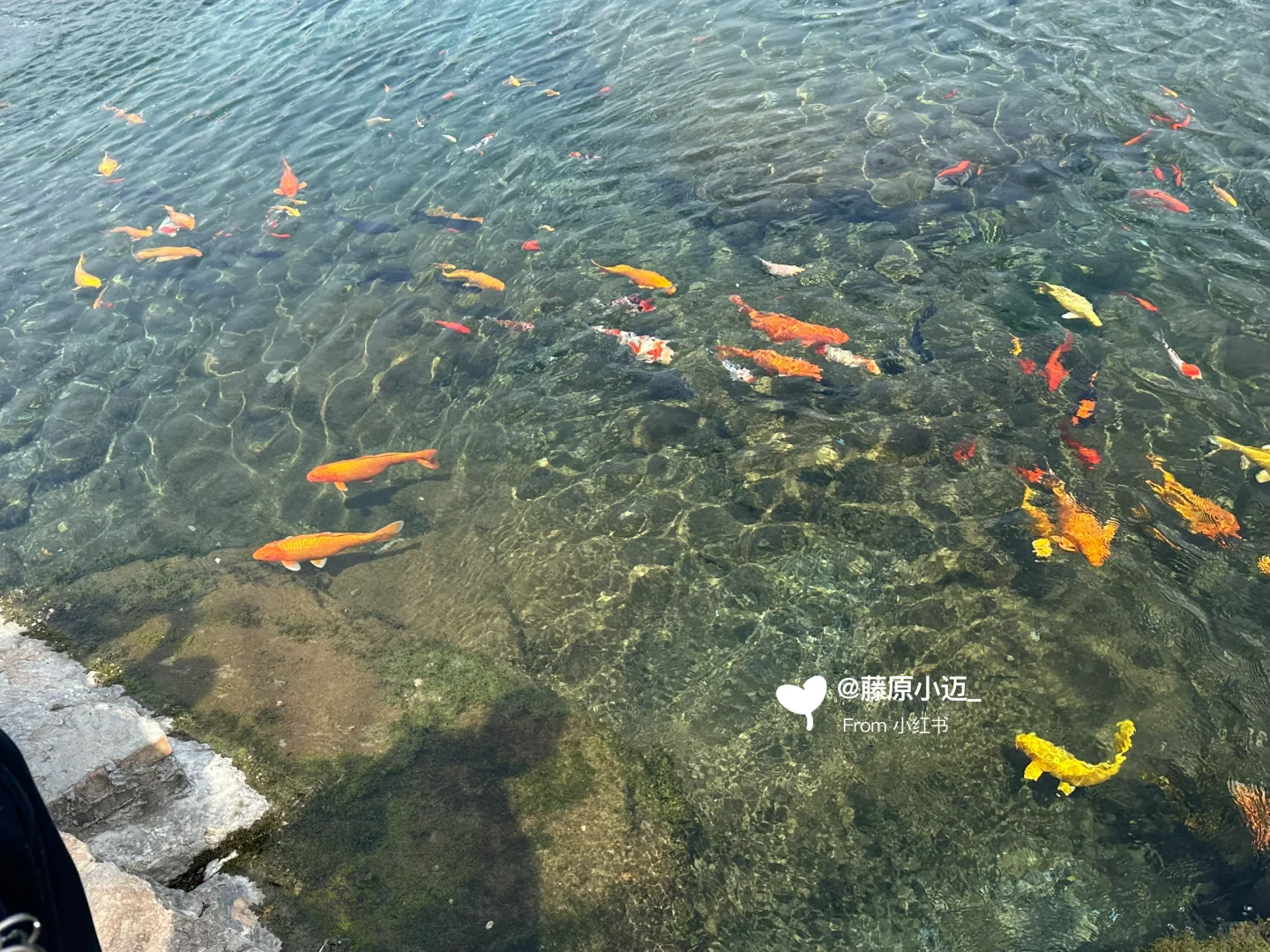 安阳周边游📍邯郸黑龙洞