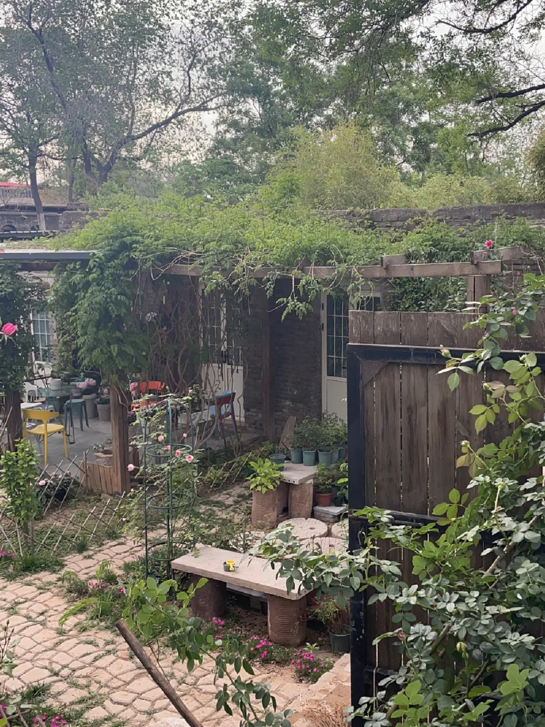 家门口的景点