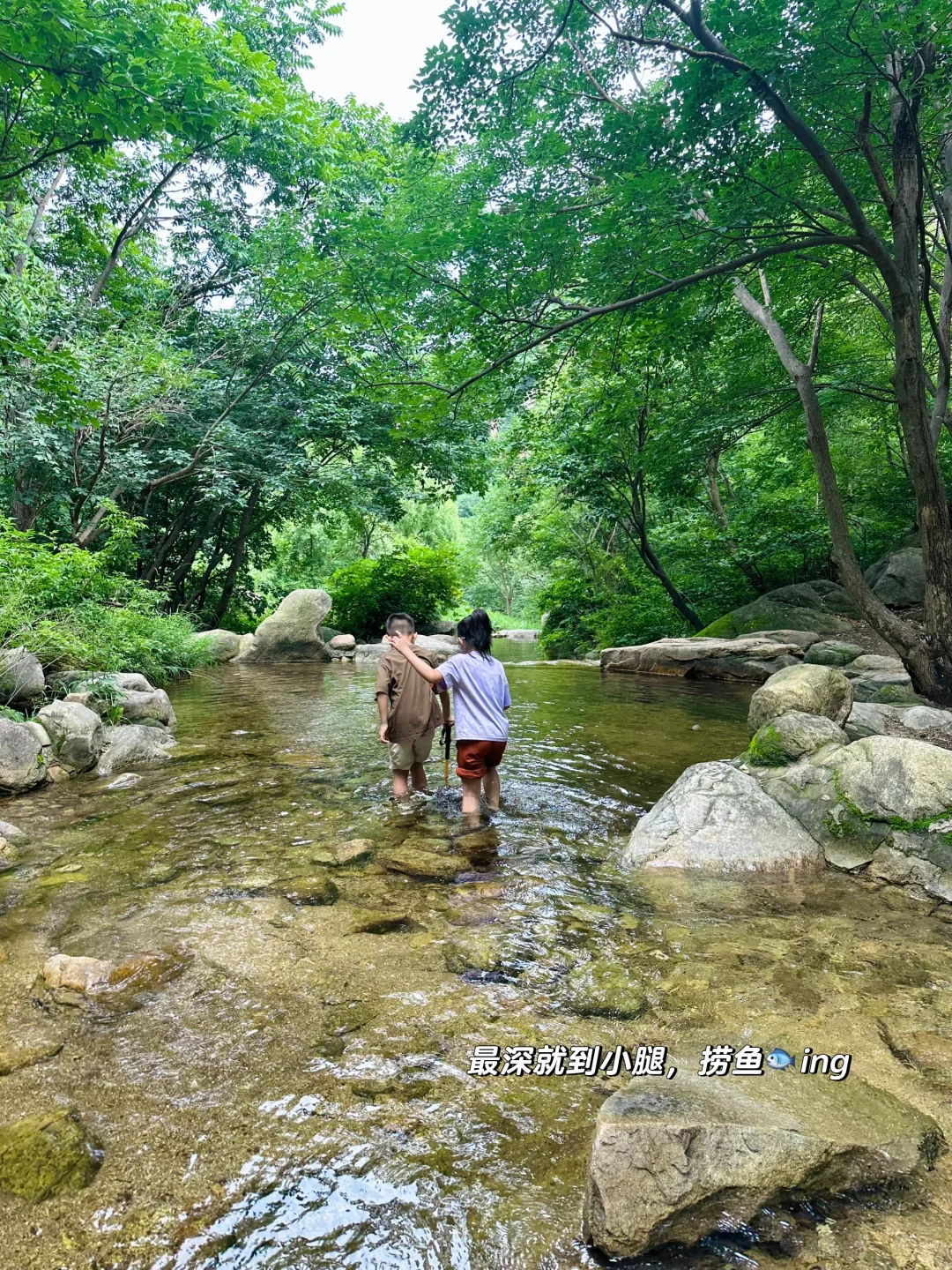 京郊低幼溯溪徒步‼️玩水捞鱼采蘑菇🍄‍🟫爽