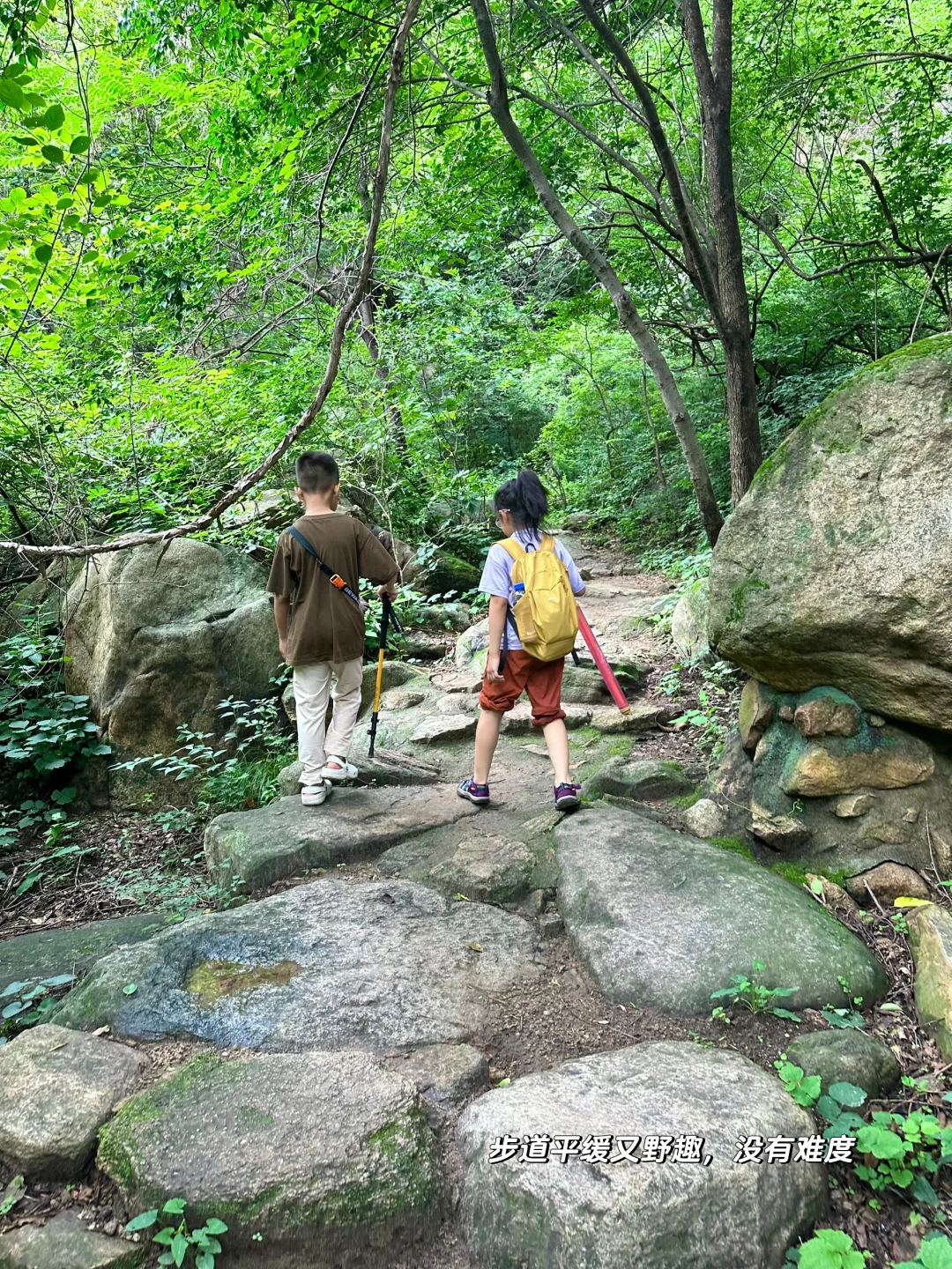 京郊低幼溯溪徒步‼️玩水捞鱼采蘑菇🍄‍🟫爽